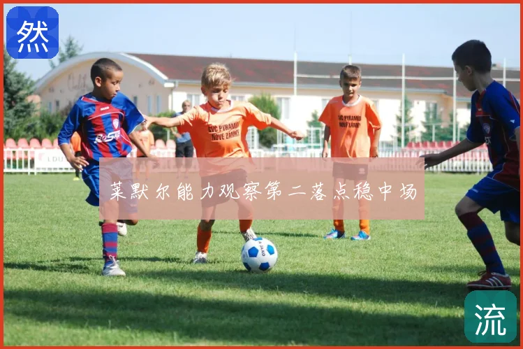 莱默尔能力观察第二落点稳中场